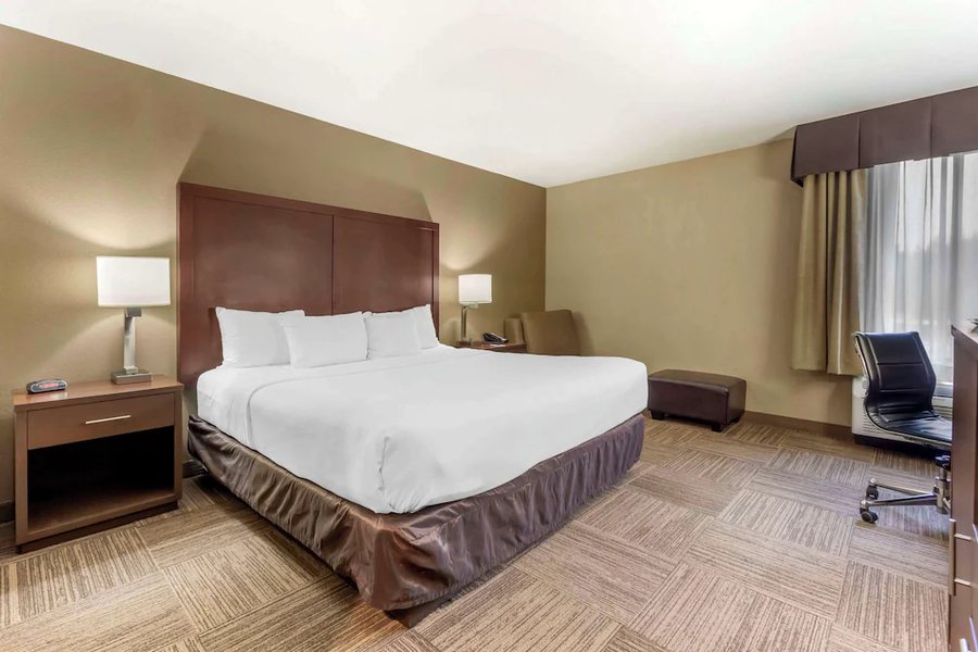 Comfort Inn Suites Sea Tac Airport — Guest room