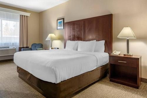 Comfort Inn Suites Seattle North — Guest room