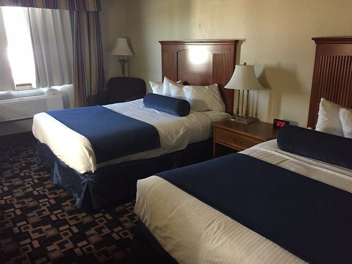 Comfort Inn Suites Shakopee Inn — Guest room