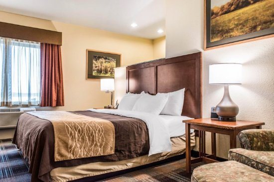 Comfort Inn Suites — Guest room