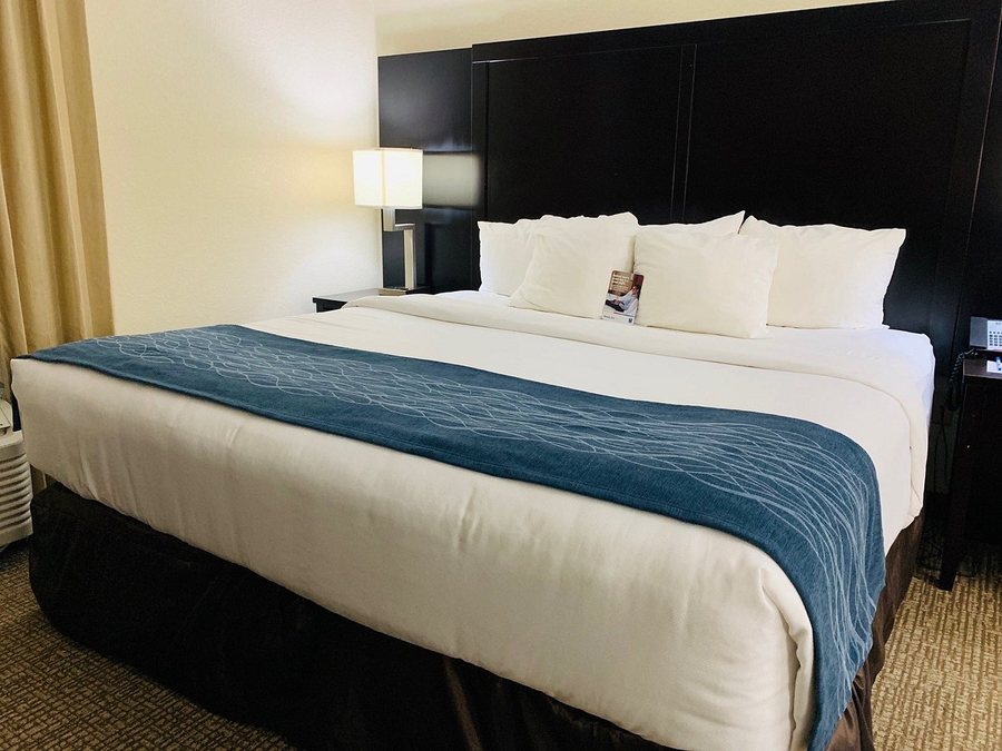 Comfort Inn Suites — Guest room