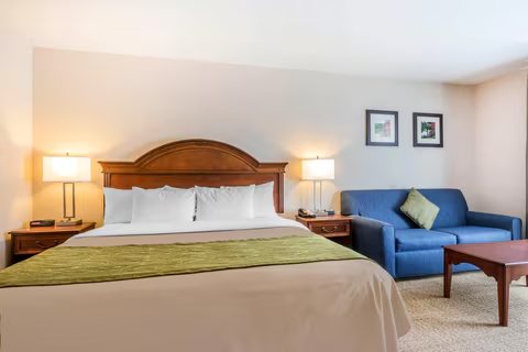 Comfort Inn Suites — Guest room