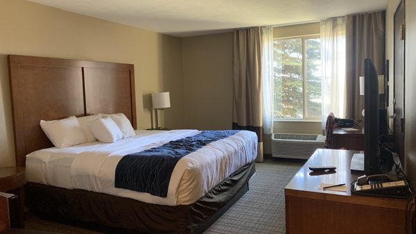 Comfort Inn Suites — Guest room