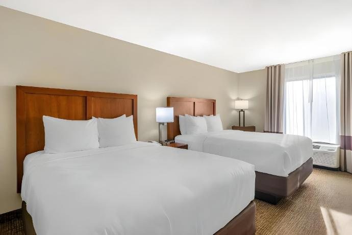 Comfort Inn Suites St Pete Clearwater International Airport — Guest room