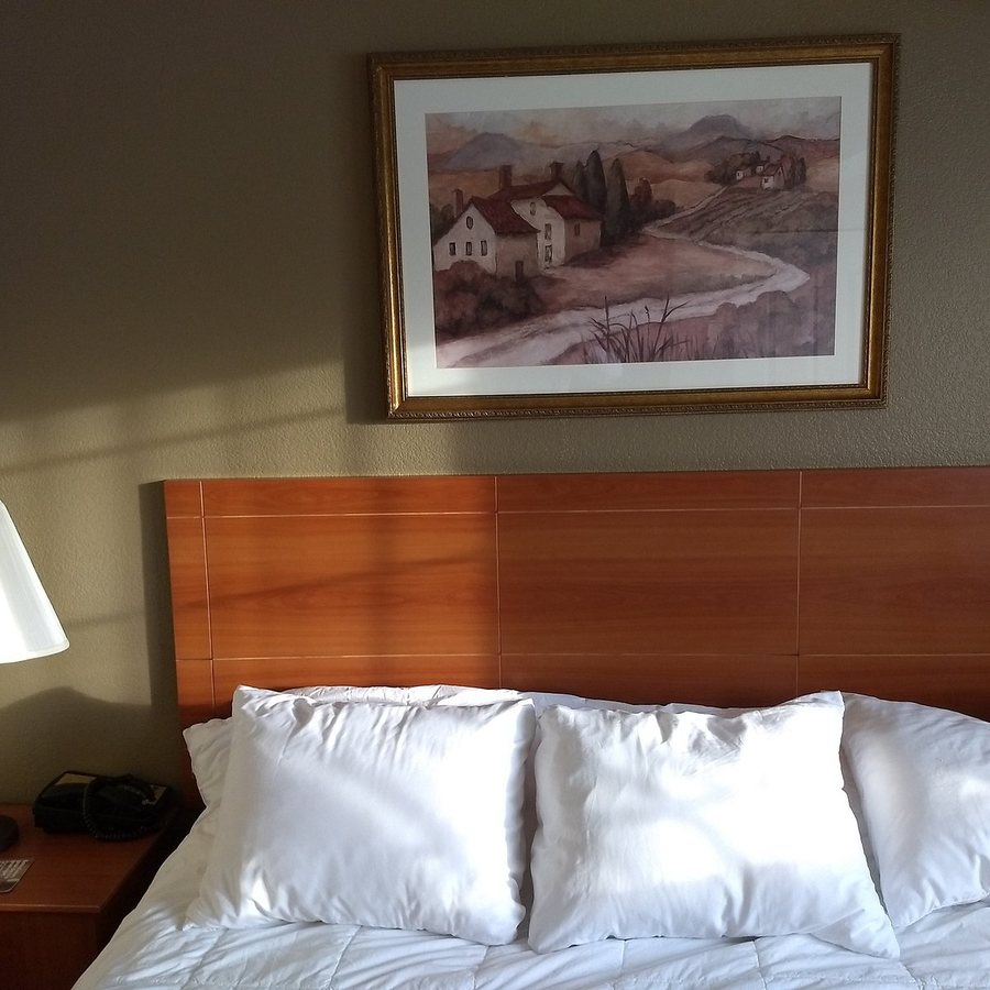 Comfort Inn Suites Ukiah Mendicino County — Guest room
