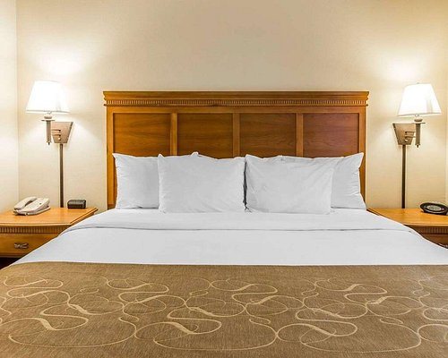 Comfort Inn Suites — Guest room