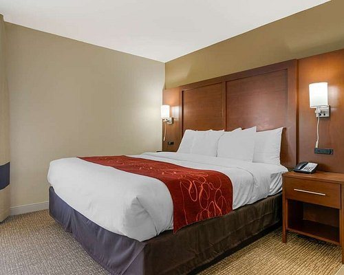 Comfort Inn Suites West — Guest room