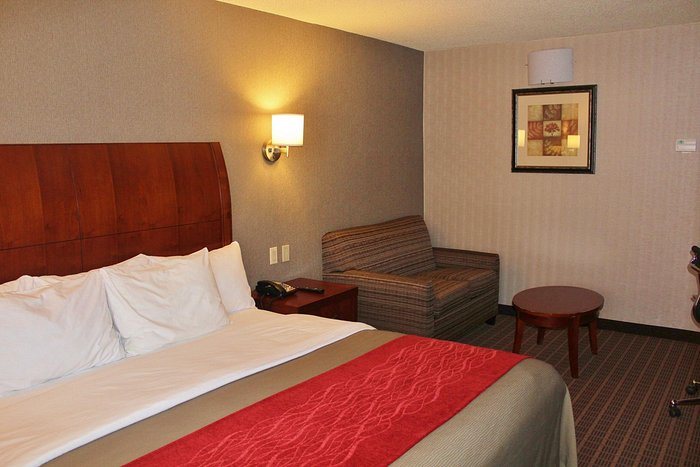 Comfort Inn Suites — Guest room