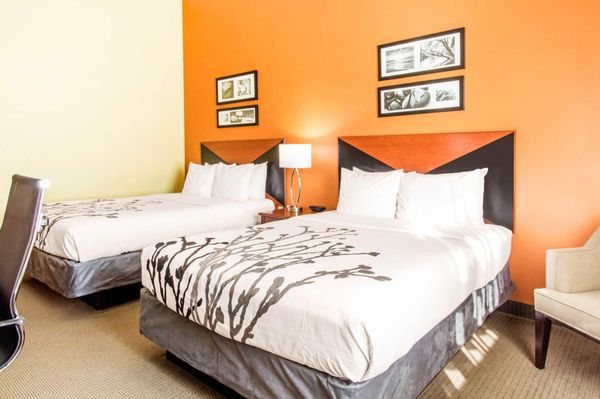 Comfort Inn Suites Wildwood The Villages — Guest room