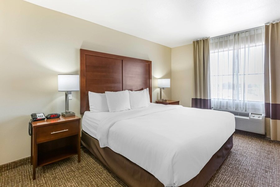 Comfort Inn Suites Yuma I 8 — Guest room