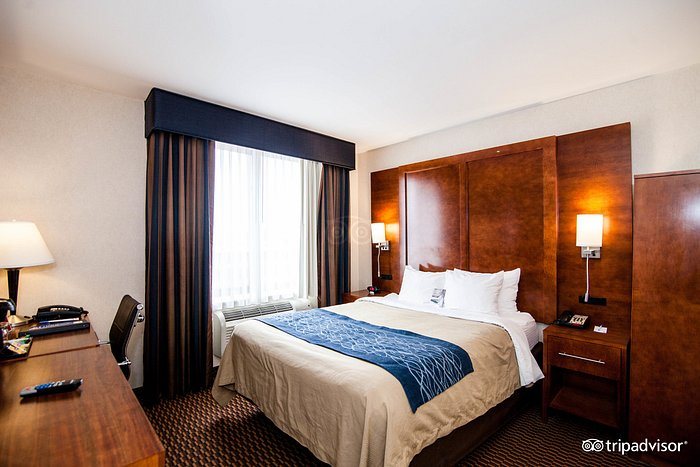 Comfort Inn Sunset Park Park Slope New York City New York — Guest room