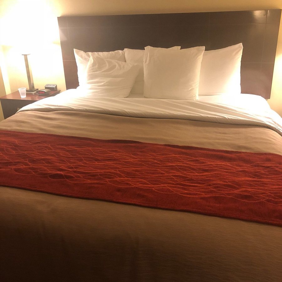 Comfort Inn Toms River — Guest room
