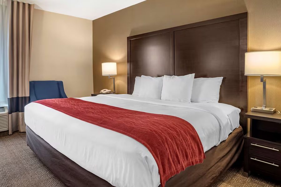 Comfort Inn — Guest room