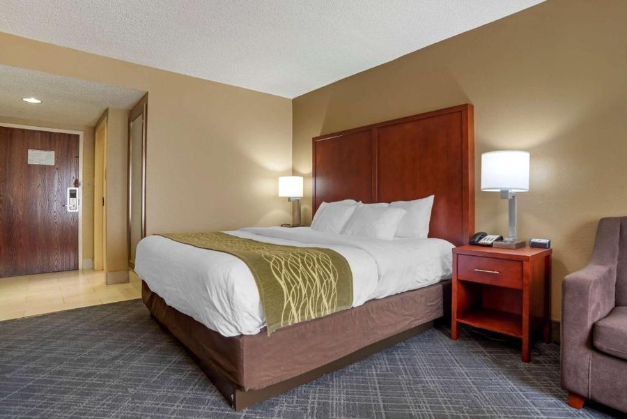 Comfort Inn University Area — Guest room