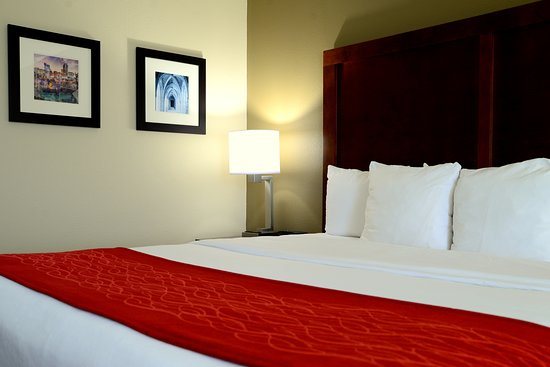 Comfort Inn University Durham Chapel Hill — Guest room