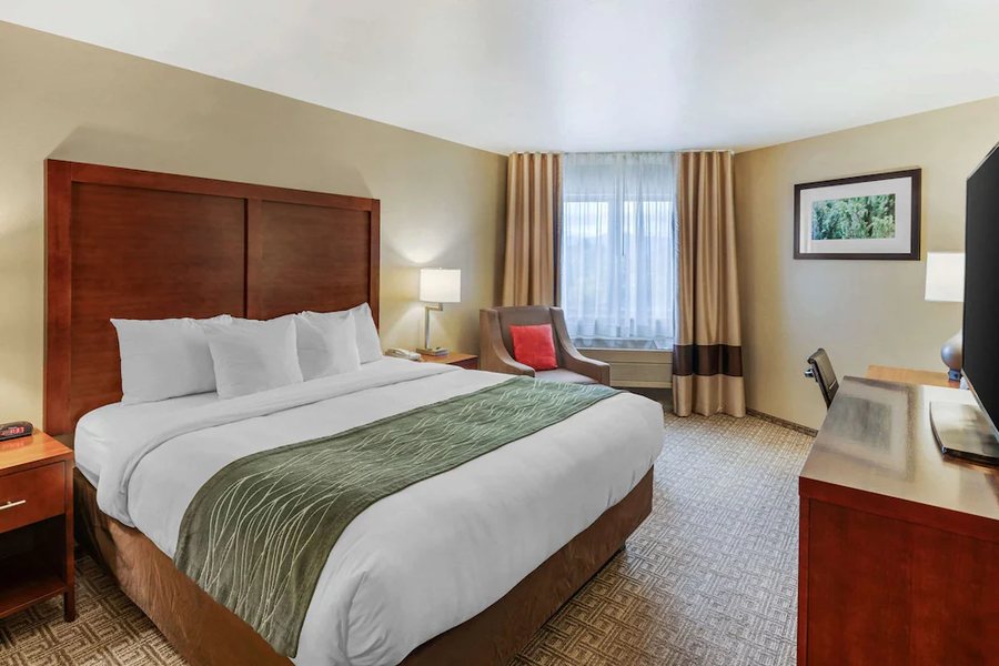 Comfort Inn University — Guest room