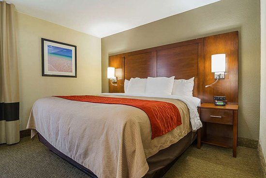 Comfort Inn University — Guest room