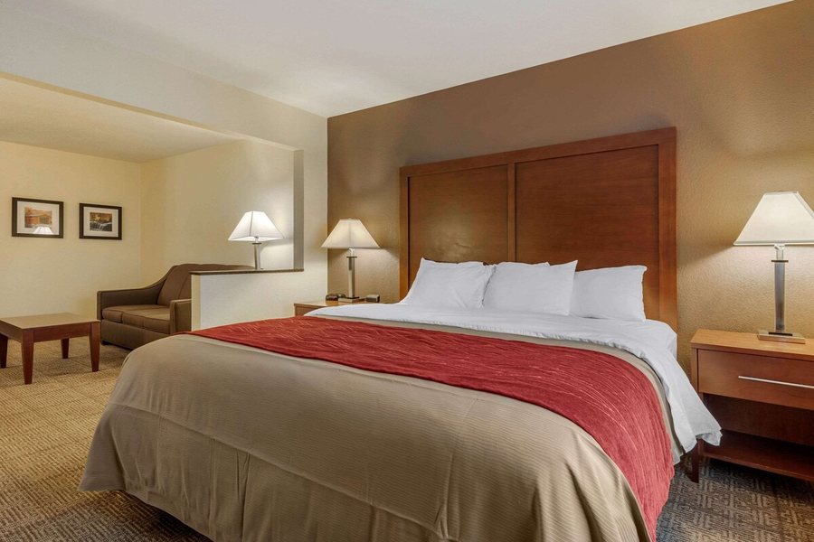 Comfort Inn Warren — Guest room