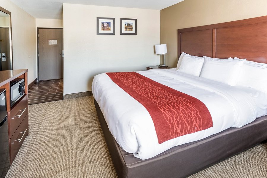 Comfort Inn — Guest room