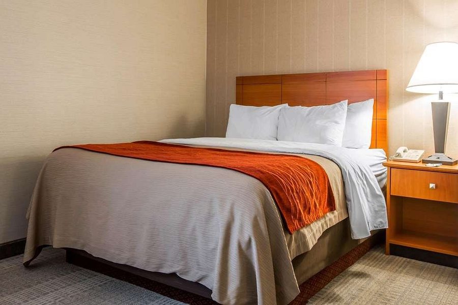 Comfort Inn — Guest room