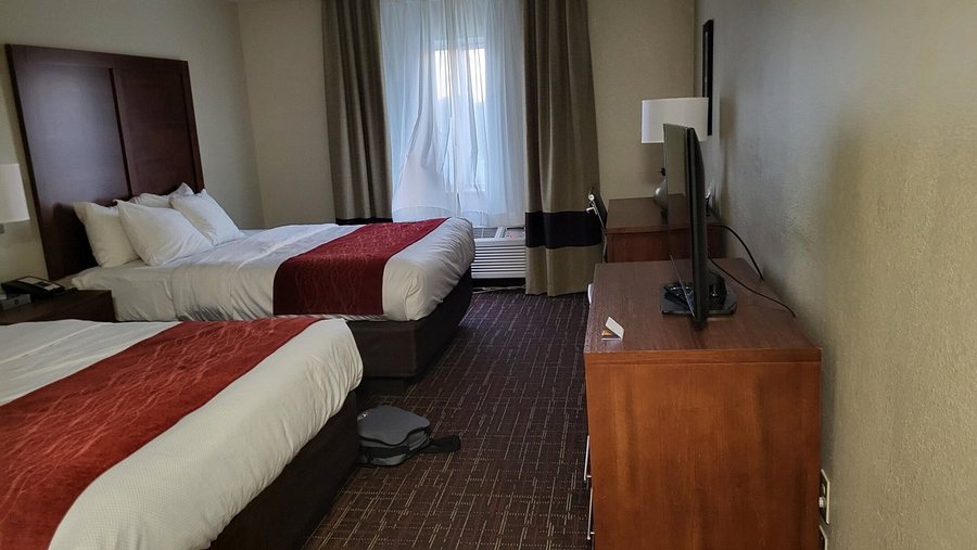 Comfort INN Wichita Falls Near University — Guest room