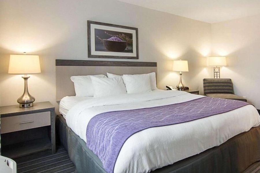 Comfort Inn Williamsburg Gateway — Guest room