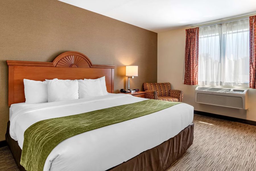 Comfort Inn Williamsport — Guest room