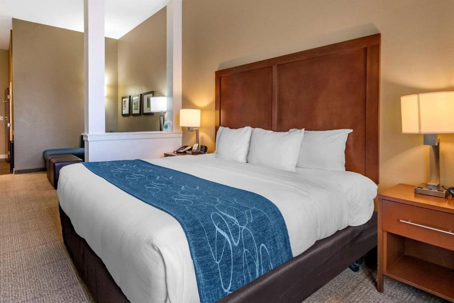 Comfort Suites Airport University — Guest room