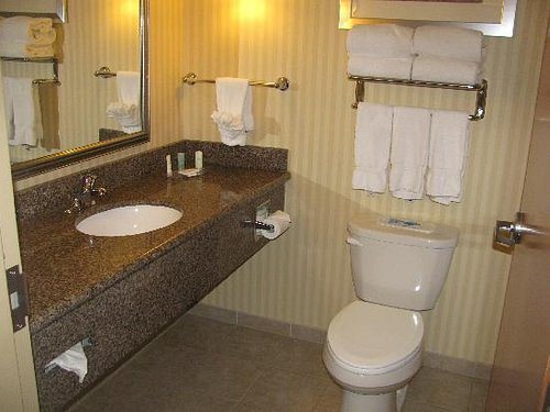 Comfort Suites Amish Country — Bathroom