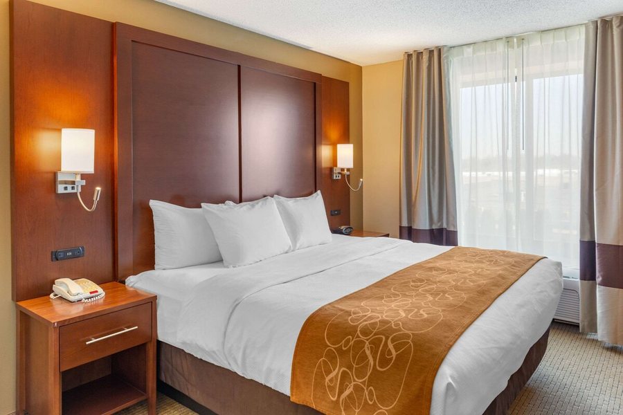 Comfort Suites Amish Country — Guest room