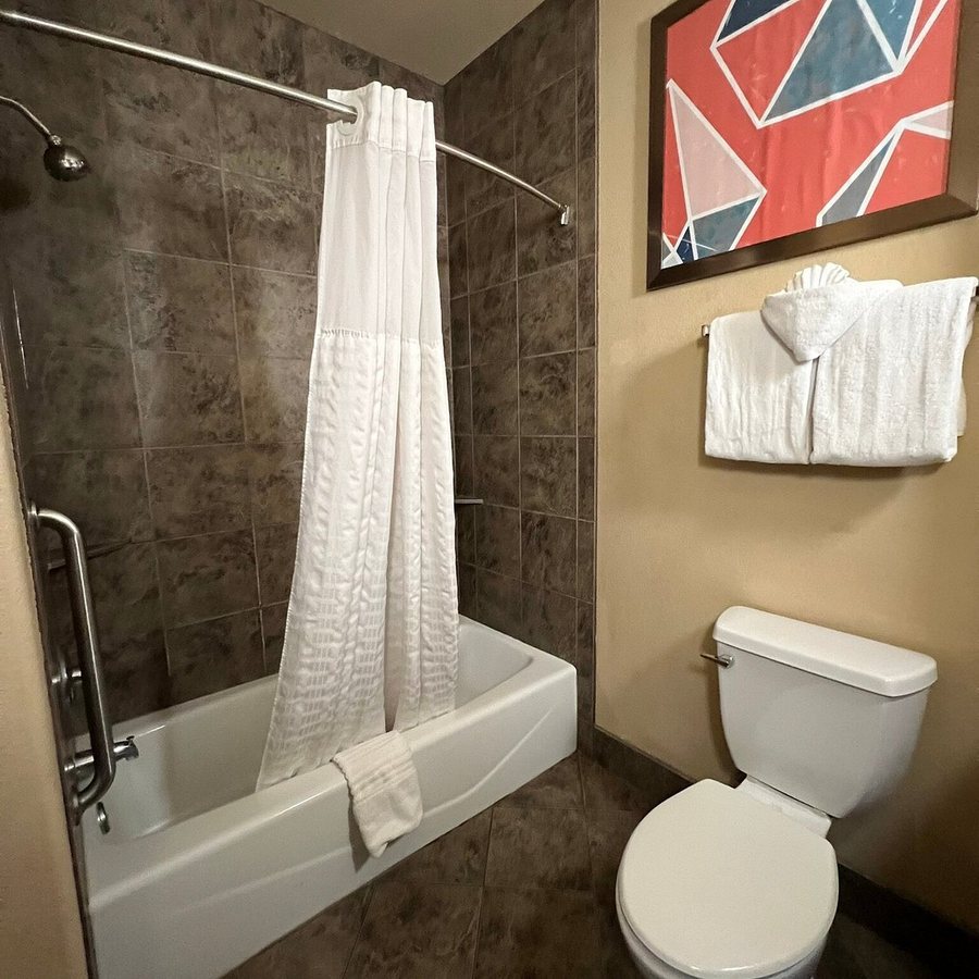 Comfort Suites Arlington Entertainment District — Bathroom