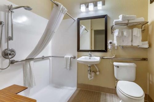 Comfort Suites At Tucson Mall — Bathroom