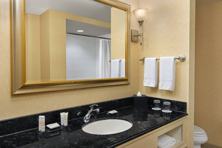 Comfort Suites At WestGate Mall — Bathroom