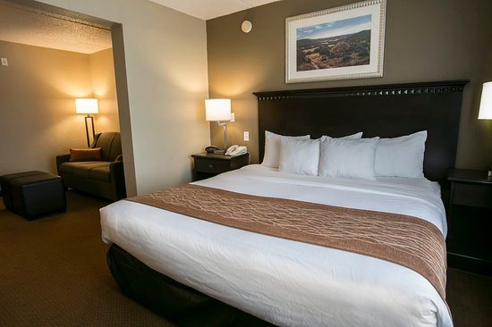 Comfort Suites Austin Airport — Guest room