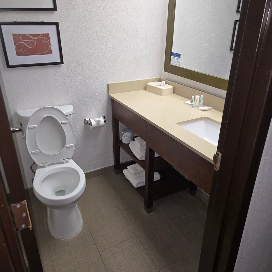 Comfort Suites Baymeadows Near Butler Blvd — Bathroom