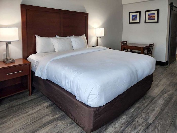 Comfort Suites Baymeadows Near Butler Blvd — Guest room