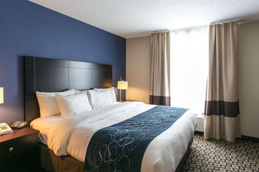 Comfort Suites Benton Harbor — Guest room