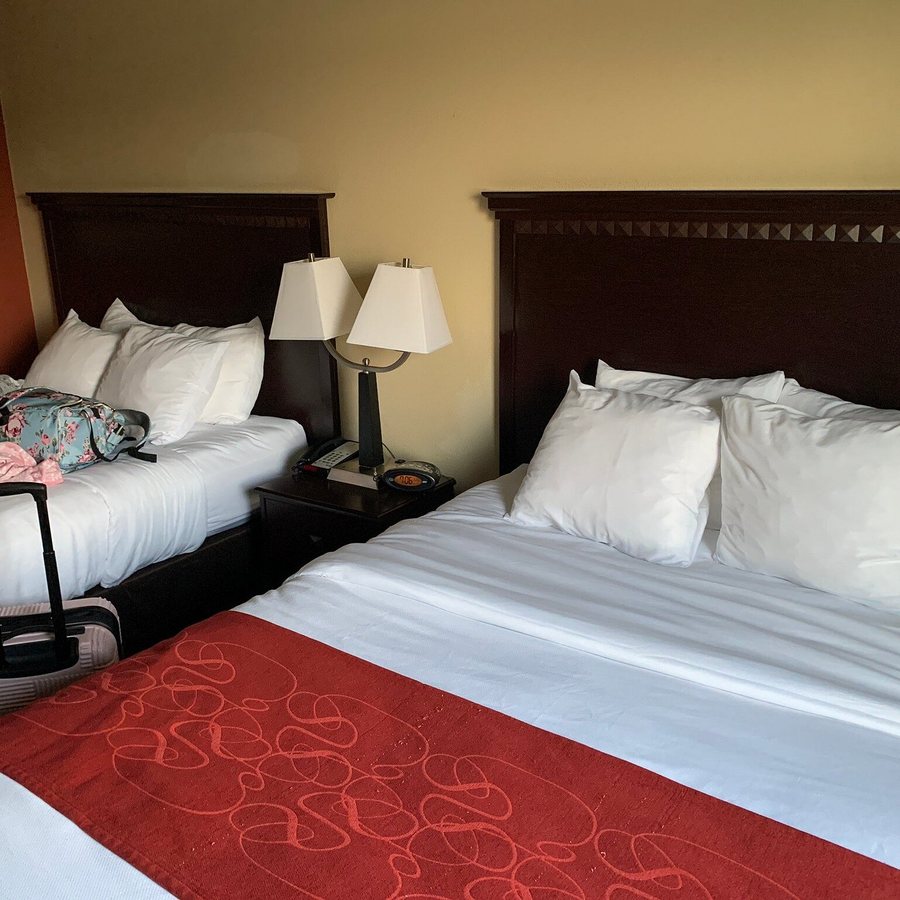 Comfort Suites Bloomington I 55 And I 74 — Guest room