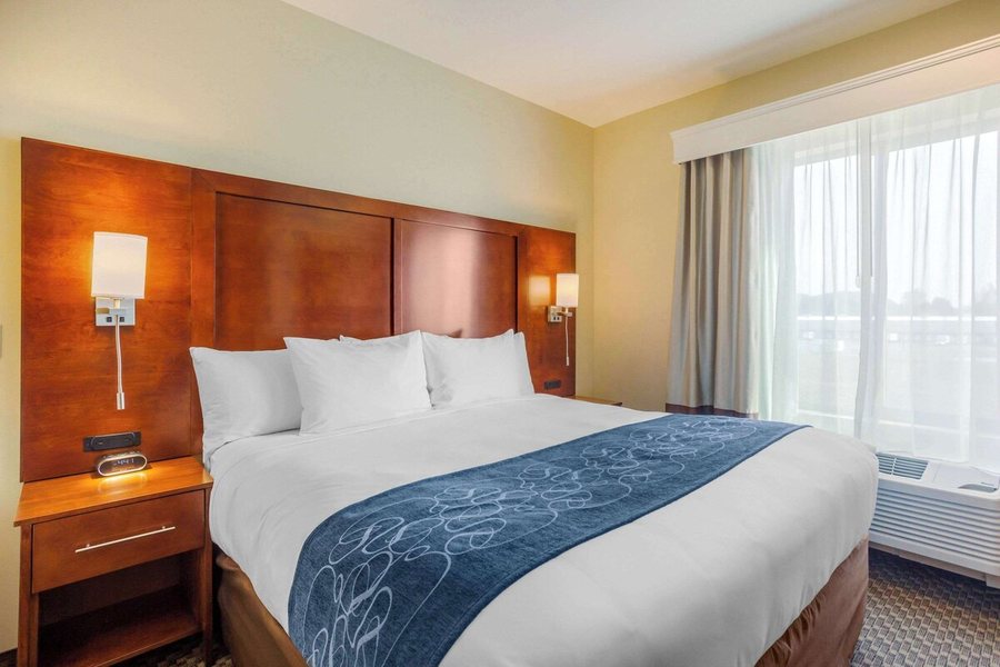 Comfort Suites Burlington — Guest room