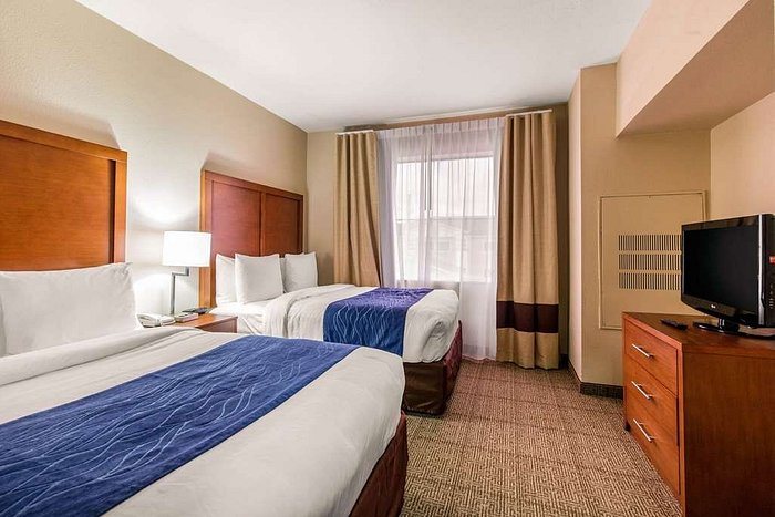 Comfort Suites Bush Intercontinental Airport — Guest room