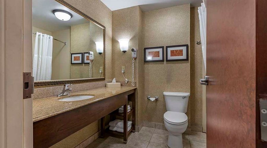 Comfort Suites Byron Warner Robins — Bathroom