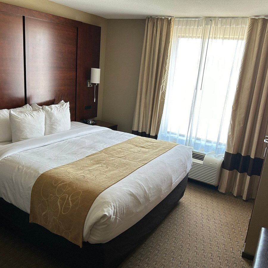 Comfort Suites — Guest room
