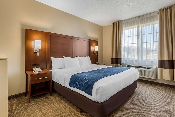 Comfort Suites — Guest room