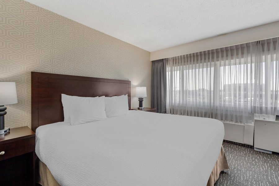 Comfort Suites — Guest room