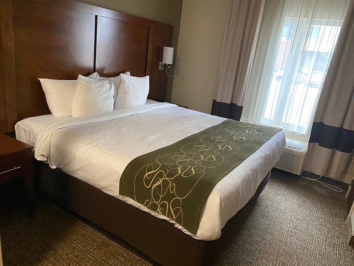 Comfort Suites Central — Guest room