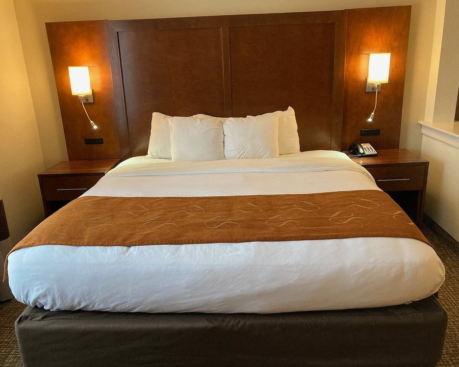 Comfort Suites Channelview Houston East — Guest room