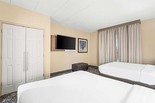 Comfort Suites Columbia at Harbison — Guest room