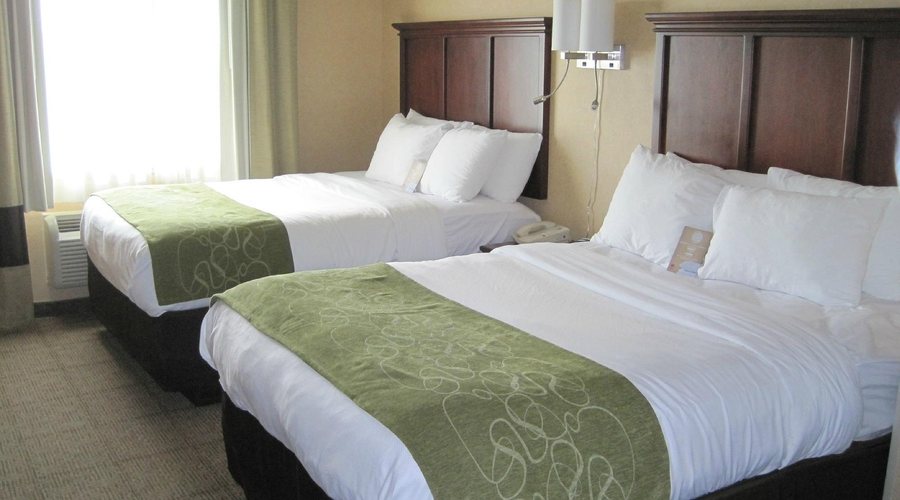 Comfort Suites Columbia Northeast Fort Jackson — Guest room