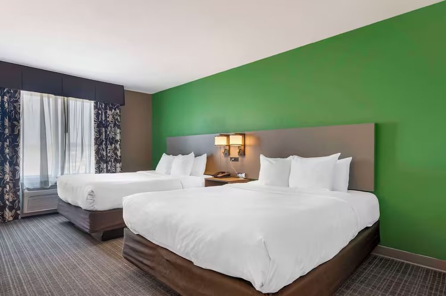 Comfort Suites Conference Center Rapid City — Guest room