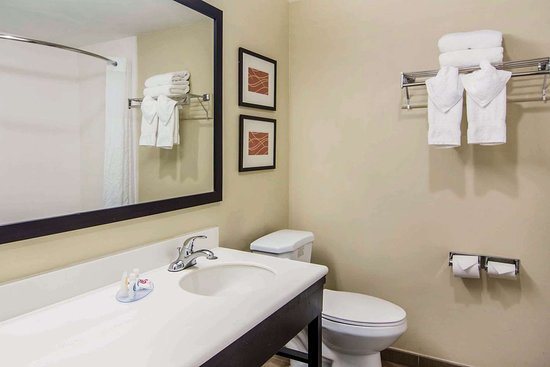Comfort Suites Cumming Atlanta Near Northside Hospital Forsyth — Bathroom